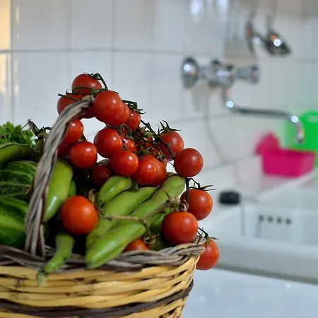 Le Volte Di Lo Re Surbo